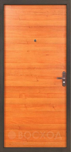 Дверь с отделкой ламинат устойчивой к ультрафиолету №73 - фото №2