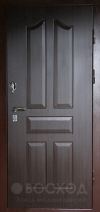 Дверь в дом №6 - фото